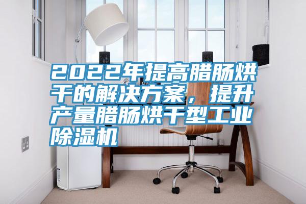 2022年提高臘腸烘干的解決方案，提升產量臘腸烘干型工業除濕機