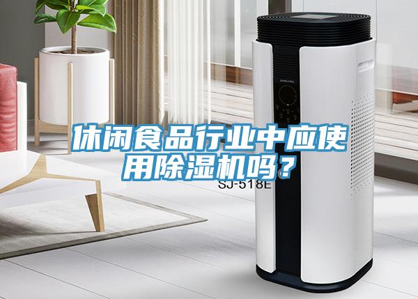 休閑食品行業(yè)中應使用除濕機嗎？