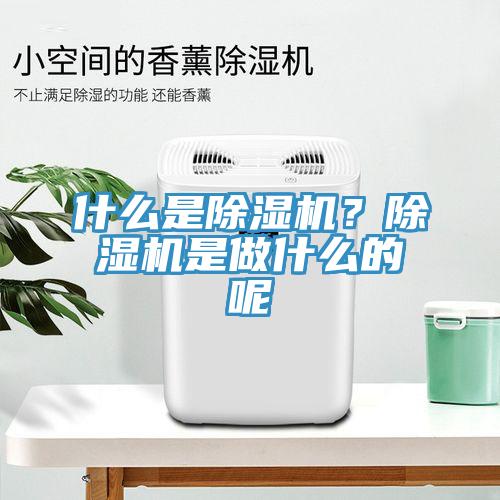 什么是除濕機？除濕機是做什么的呢