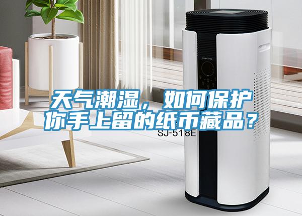 天氣潮濕，如何保護(hù)你手上留的紙幣藏品？