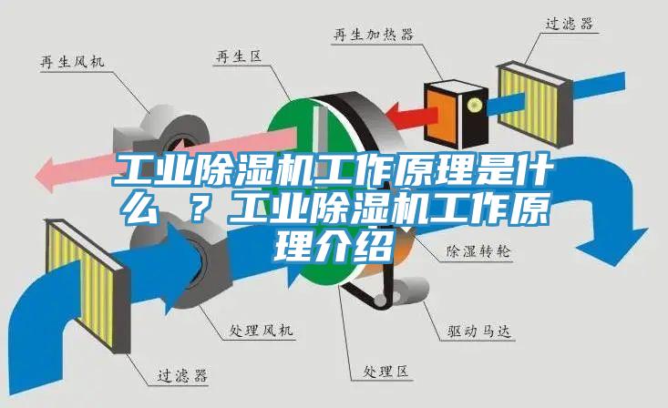 工業除濕機工作原理是什么 ？工業除濕機工作原理介紹