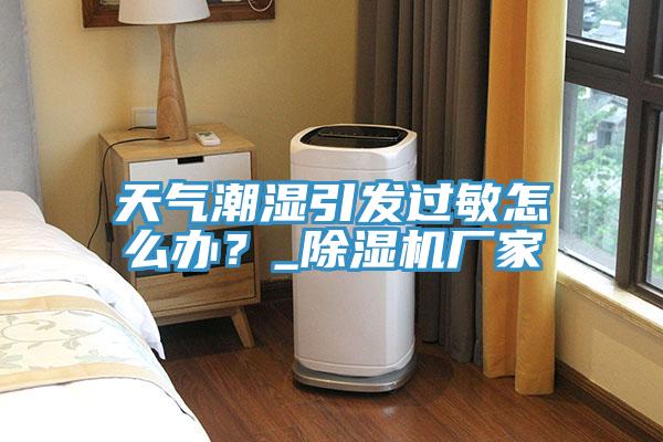 天氣潮濕引發(fā)過敏怎么辦？_除濕機(jī)廠家