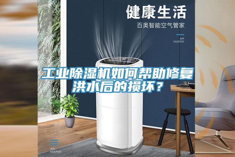 工業(yè)除濕機如何幫助修復(fù)洪水后的損壞？