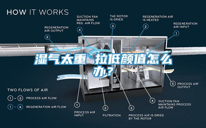 濕氣太重 拉低顏值怎么辦？