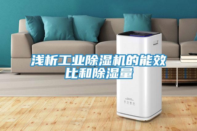 淺析工業(yè)除濕機的能效比和除濕量