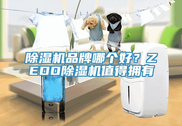 除濕機(jī)品牌哪個好？ZEDO除濕機(jī)值得擁有