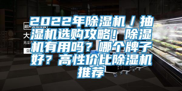 2022年除濕機(jī)／抽濕機(jī)選購(gòu)攻略！除濕機(jī)有用嗎？哪個(gè)牌子好？高性價(jià)比除濕機(jī)推薦