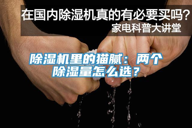 除濕機(jī)里的貓膩：兩個(gè)除濕量怎么選？