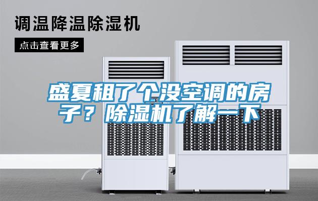 盛夏租了個(gè)沒空調(diào)的房子？除濕機(jī)了解一下