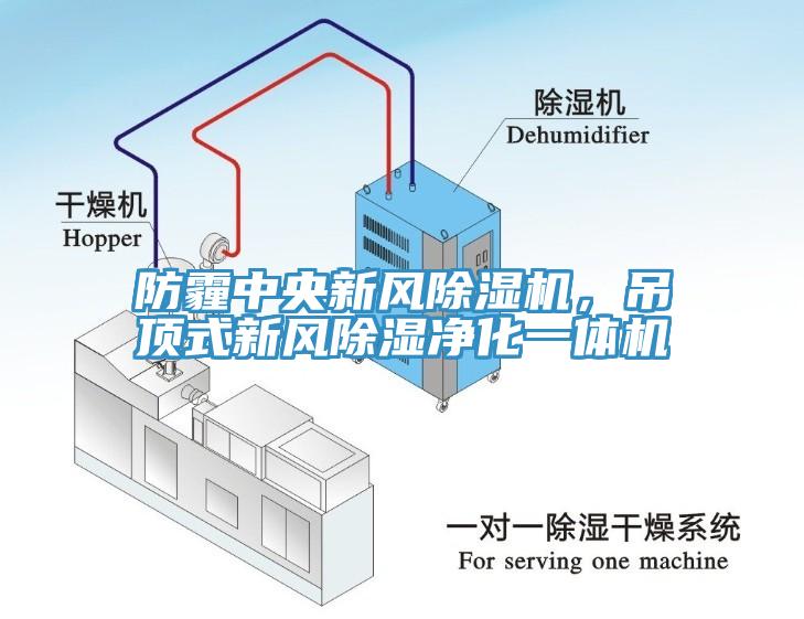 防霾中央新風(fēng)除濕機(jī)，吊頂式新風(fēng)除濕凈化一體機(jī)