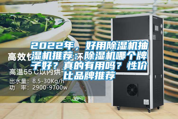 2022年，好用除濕機(jī)抽濕機(jī)推薦：除濕機(jī)哪個(gè)牌子好？真的有用嗎？性價(jià)比品牌推薦