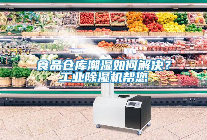 食品倉庫潮濕如何解決？工業除濕機幫您