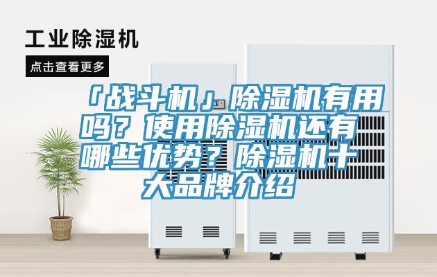 「戰斗機」除濕機有用嗎？使用除濕機還有哪些優勢？除濕機十大品牌介紹