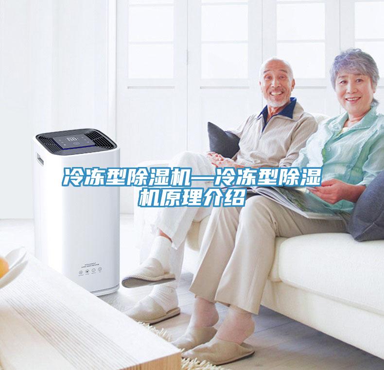 冷凍型除濕機—冷凍型除濕機原理介紹