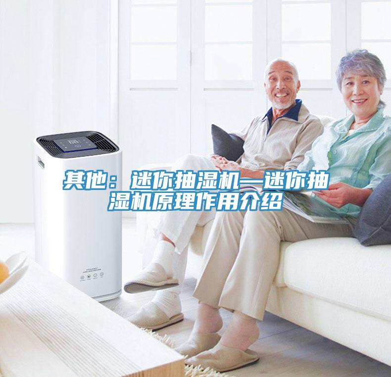 其他：迷你抽濕機—迷你抽濕機原理作用介紹