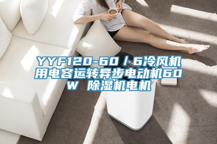 YYF120-60／6冷風機用電容運轉(zhuǎn)異步電動機60W 除濕機電機