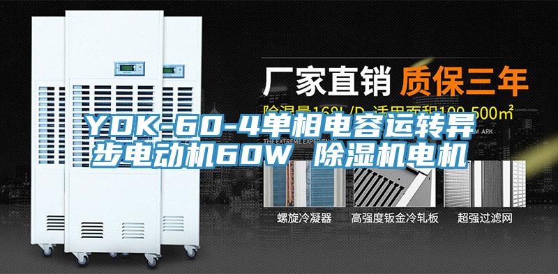 YDK-60-4單相電容運(yùn)轉(zhuǎn)異步電動(dòng)機(jī)60W 除濕機(jī)電機(jī)