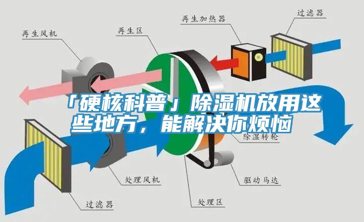 「硬核科普」除濕機放用這些地方，能解決你煩惱