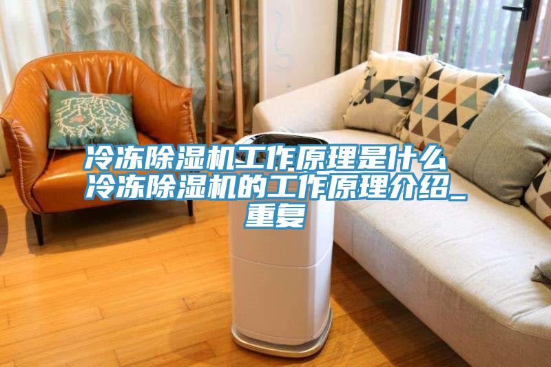 冷凍除濕機工作原理是什么 冷凍除濕機的工作原理介紹_重復