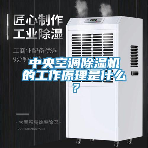 中央空調除濕機的工作原理是什么？