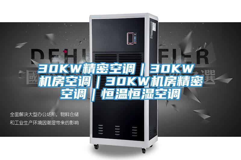 30KW精密空調(diào)｜30KW 機(jī)房空調(diào)｜30KW機(jī)房精密空調(diào)｜恒溫恒濕空調(diào)