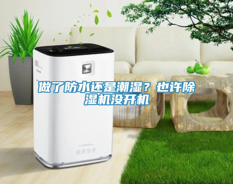 做了防水還是潮濕？也許除濕機沒開機