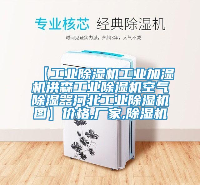 【工業除濕機工業加濕機洪森工業除濕機空氣除濕器河北工業除濕機圖】價格,廠家,除濕機