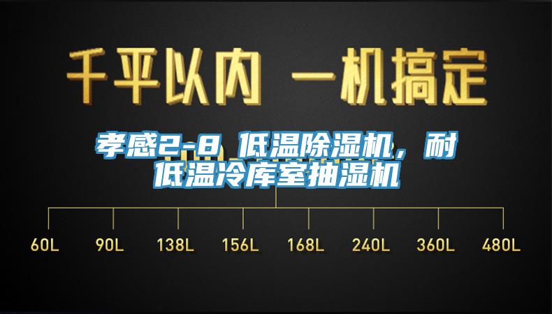 孝感2-8℃低溫除濕機，耐低溫冷庫室抽濕機