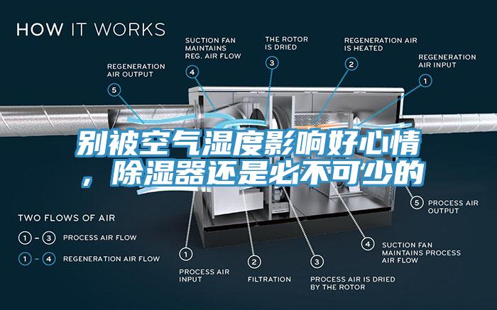 別被空氣濕度影響好心情，除濕器還是必不可少的