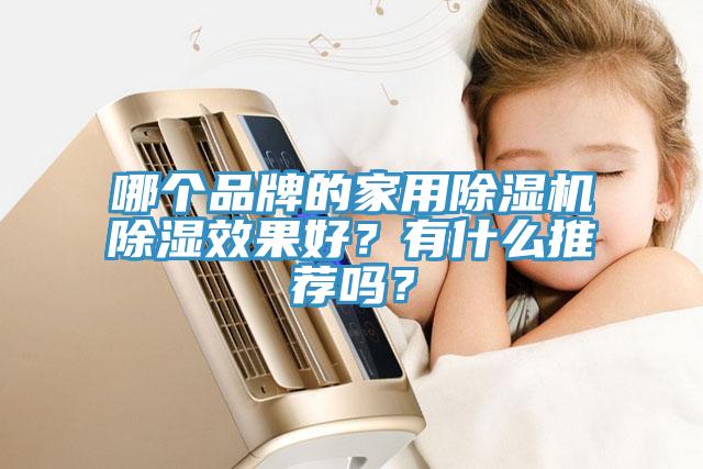 哪個品牌的家用除濕機(jī)除濕效果好？有什么推薦嗎？