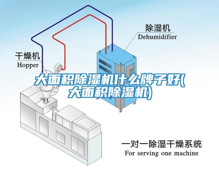 大面積除濕機(jī)什么牌子好(大面積除濕機(jī))