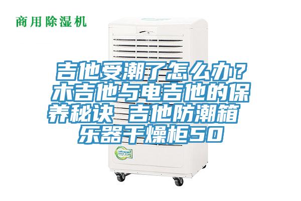 吉他受潮了怎么辦？木吉他與電吉他的保養(yǎng)秘訣 吉他防潮箱 樂器干燥柜50