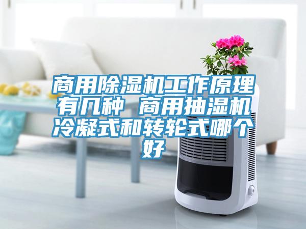 商用除濕機工作原理有幾種 商用抽濕機冷凝式和轉輪式哪個好