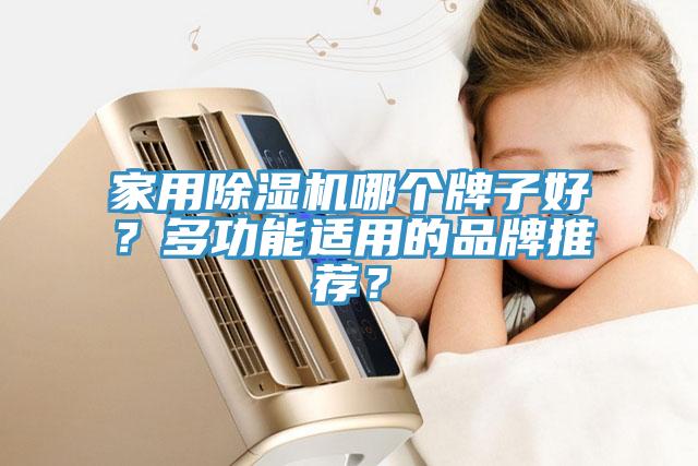 家用除濕機哪個牌子好？多功能適用的品牌推薦？