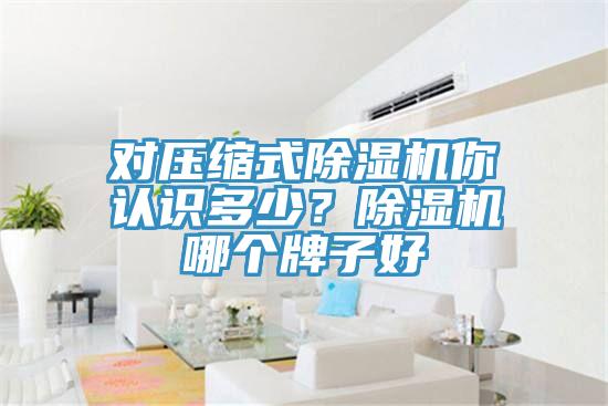 對壓縮式除濕機你認識多少？除濕機哪個牌子好