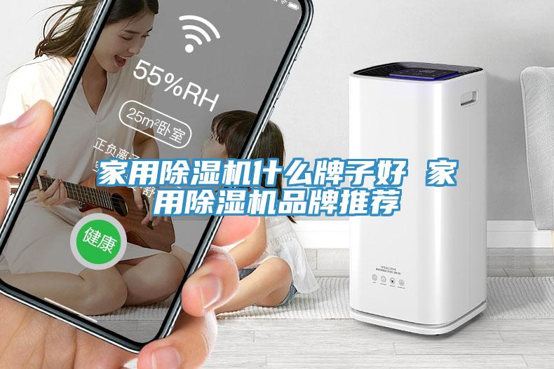 家用除濕機(jī)什么牌子好 家用除濕機(jī)品牌推薦