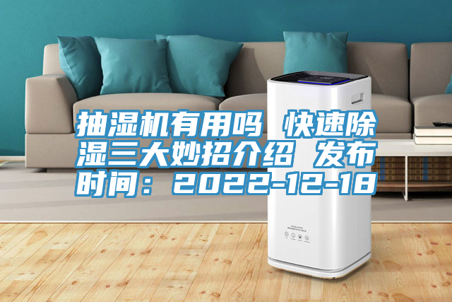 抽濕機有用嗎 快速除濕三大妙招介紹 發(fā)布時間：2022-12-18