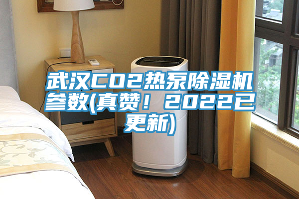 武漢CO2熱泵除濕機參數(真贊！2022已更新)