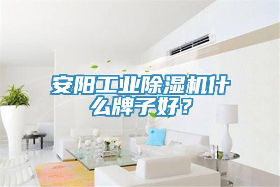 安陽工業除濕機什么牌子好？