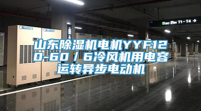 山東除濕機電機YYF120-60／6冷風機用電容運轉異步電動機