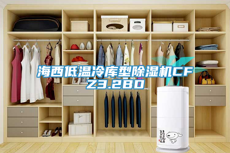 海西低溫冷庫型除濕機(jī)CFZ3.2BD