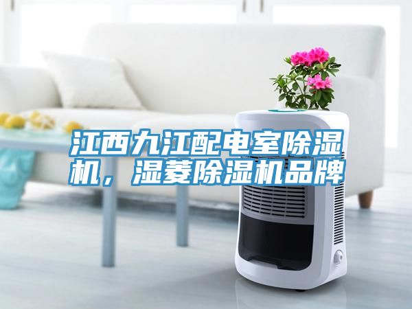 江西九江配電室除濕機(jī)，濕菱除濕機(jī)品牌