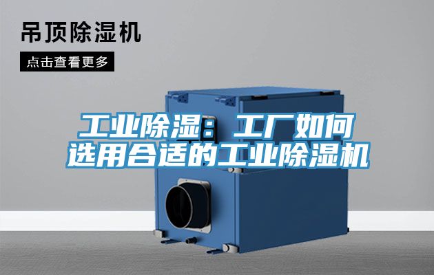 工業除濕：工廠如何選用合適的工業除濕機