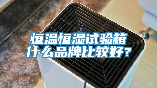 恒溫恒濕試驗箱什么品牌比較好？