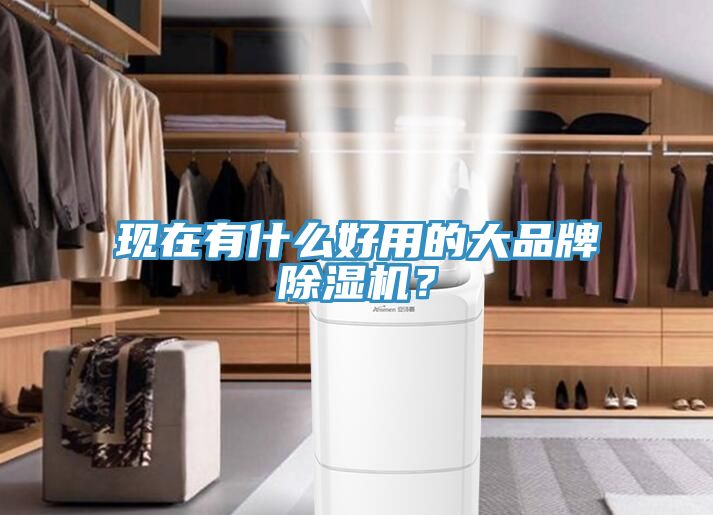 現(xiàn)在有什么好用的大品牌除濕機(jī)？