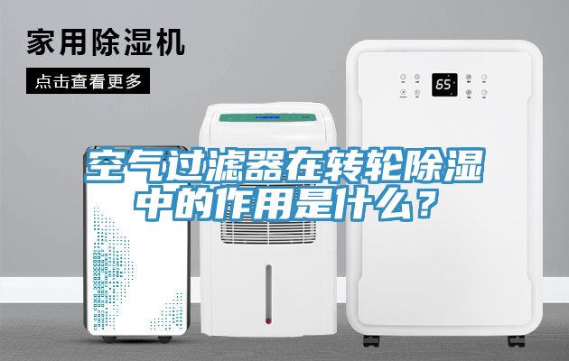 空氣過濾器在轉輪除濕中的作用是什么？