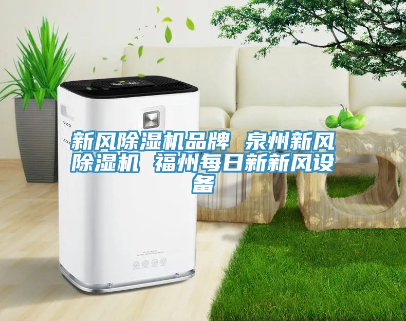 新風(fēng)除濕機品牌 泉州新風(fēng)除濕機 福州每日新新風(fēng)設(shè)備