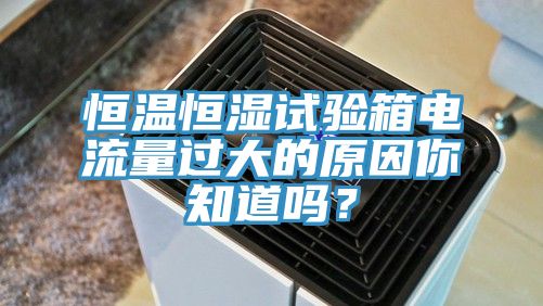 恒溫恒濕試驗(yàn)箱電流量過大的原因你知道嗎？