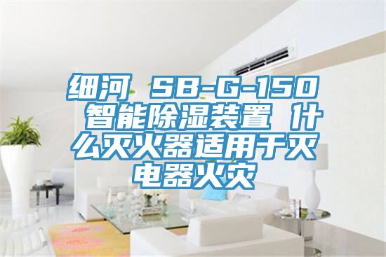 細(xì)河 SB-G-150 智能除濕裝置 什么滅火器適用于滅電器火災(zāi)