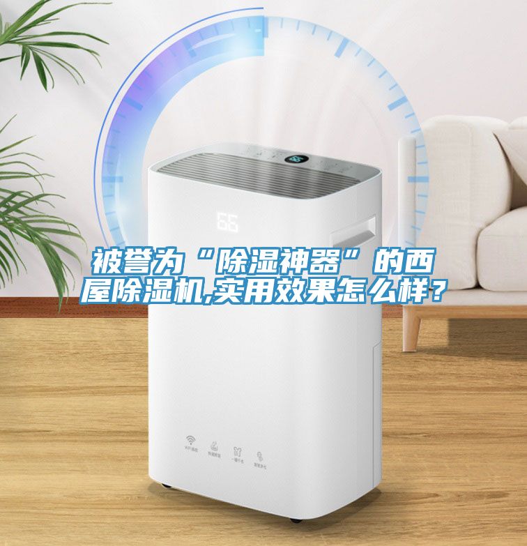 被譽為“除濕神器”的西屋除濕機,實用效果怎么樣？